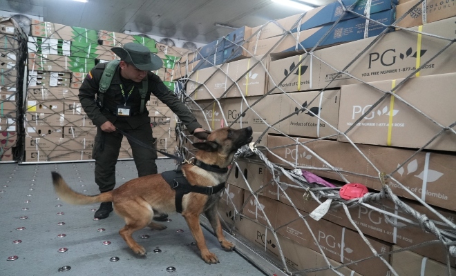 “Plan Pétalo” estrategia lanzada para cerrar toda posibilidad al narcotráfico de afectar la exportación de flores
