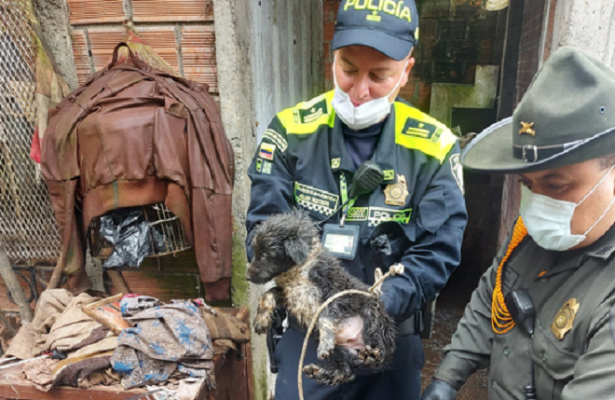 Trabajando contra el tráfico de fauna silvestre  Trabajando contra el tráfico de fauna silvestre