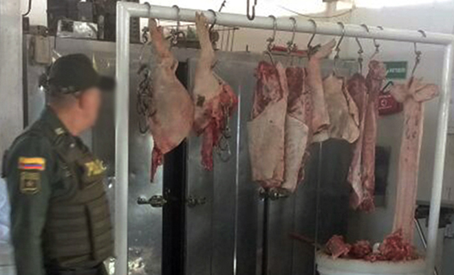 En-el-Meta-fortalecemos-planes-contra-el-hurto-de-ganado 