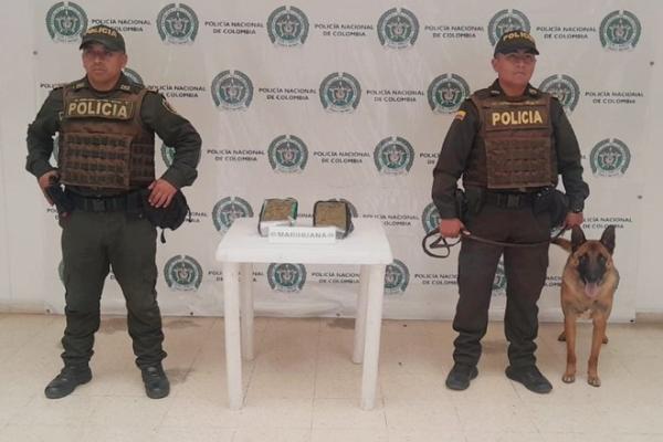 Incautados 2.200 gramos de marihuana en empresa de mensajería con destino a Puerto Asís Incautados 2.200 gramos de marihuana en empresa de mensajería con destino a Puerto Asís