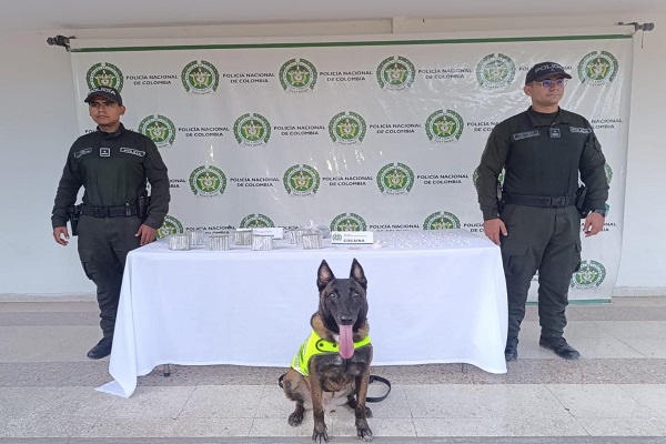 Dos Polic&iacute;as y canino Odhil con la incautaci&oacute;n de estupefacientes