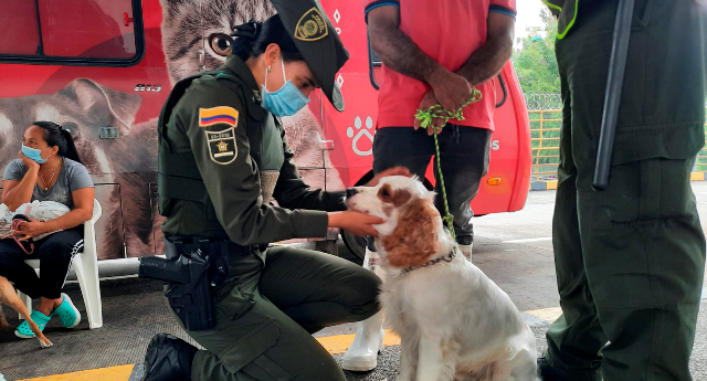 El-medio-ambiente-y-nuestra-fauna-hace-parte-del-mejor-regalo-de-esta-Navidad-La-Vida