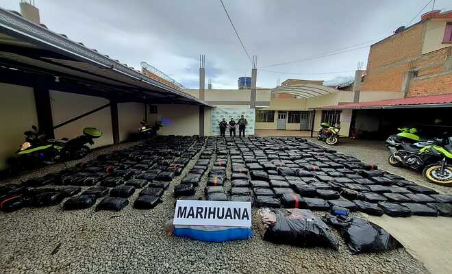 Contundente golpe al narcotr&aacute;fico en Nari&ntilde;o: m&aacute;s de dos toneladas de marihuana incautadas