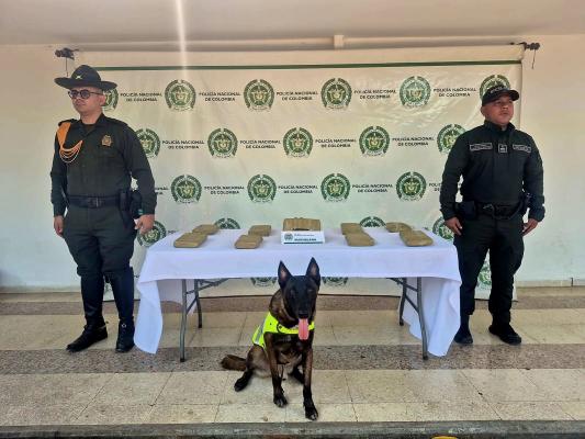 Dos uniformados, un canino especializado, una mesa con marihuana incautados 