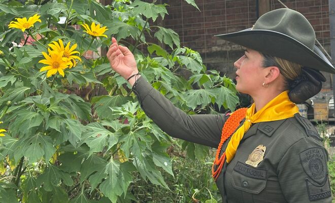 Uniformada de carabineros en campo abierto resaltando la labor de las abejas polinizadoras 