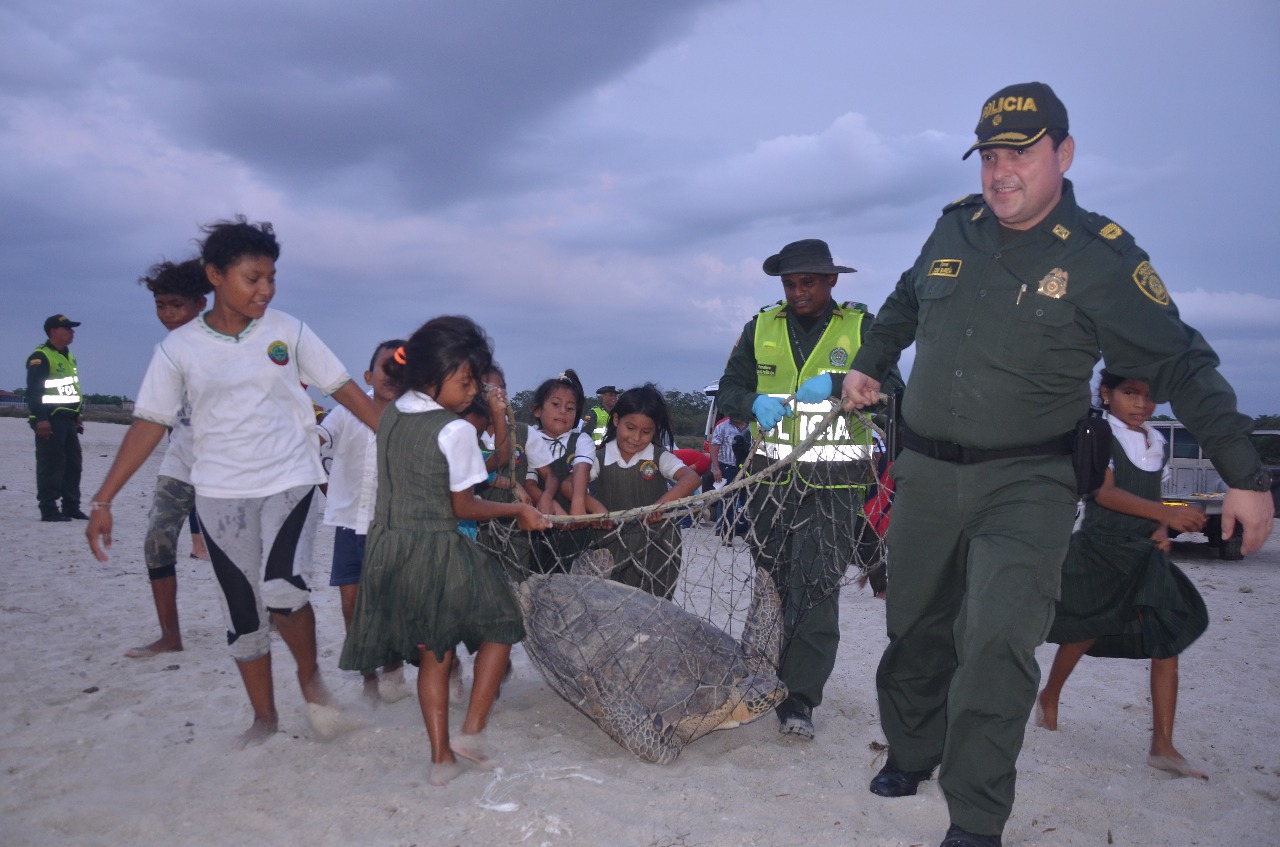 liberación-de-tortugas liberación-de-tortugas