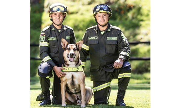 los-peludos-que-protegen-al-pais-policia-colombia-carabineros