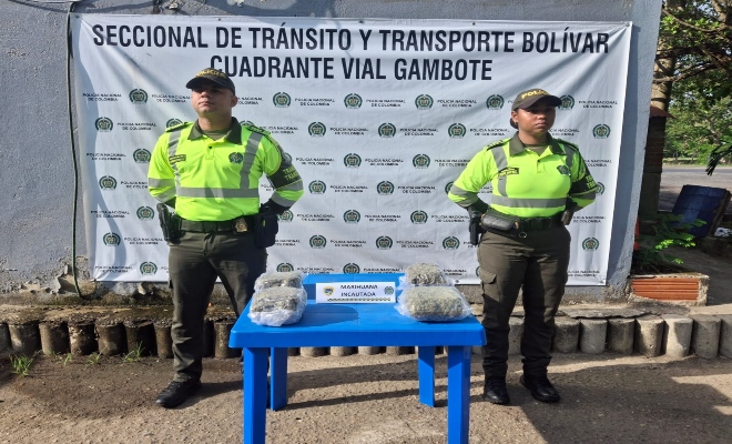 Incautadas 2.065 dosis de marihuana en operativo contra encomiendas ilegales en la Troncal del Caribe