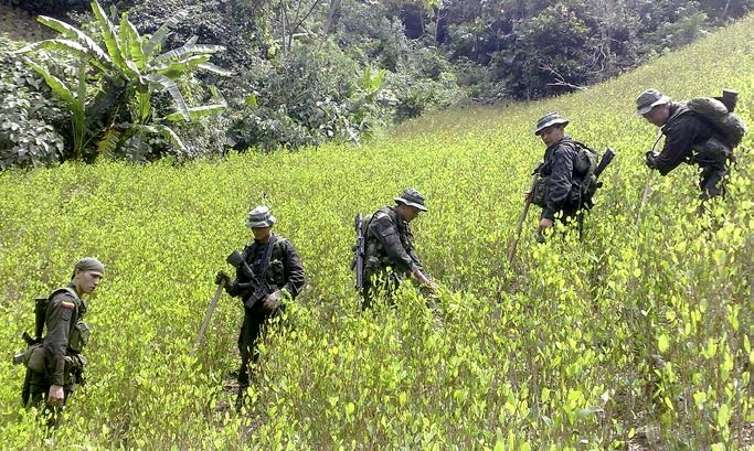 Estrategia de intervención integral contra el narcotráfico