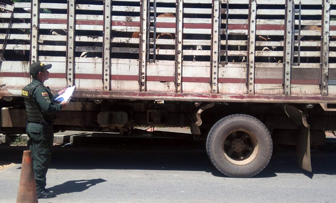 Plan-de-Choque-El-que-la hace-la paga-previene-el-abigeato-en-el-Meta