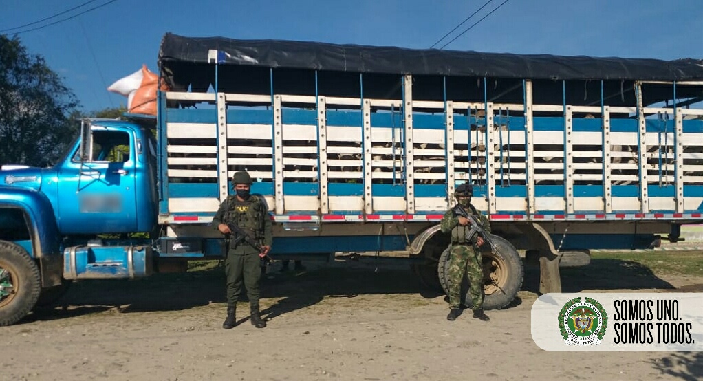 Ofensiva-regional-contra-el-abigeato-permitió-la-incautación-de-126-bovinos-de-dudosa-procedencia-en-el-Departamento-del-Meta1