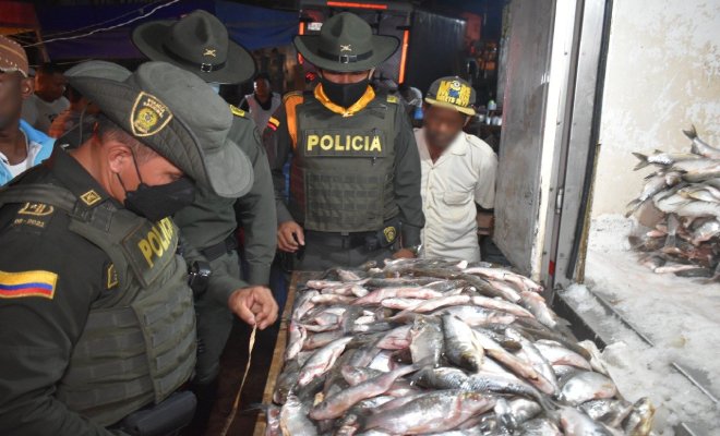 operativos ambientales en el mercado de Bazurto
