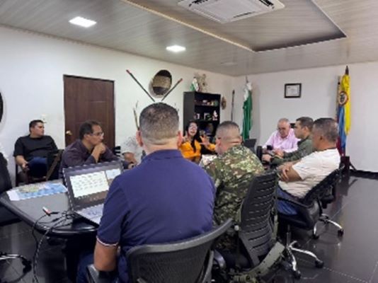 Sinergia Institucional para la seguridad territorial