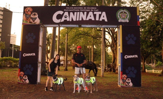 tres caninos y dos ciudadanos participantes