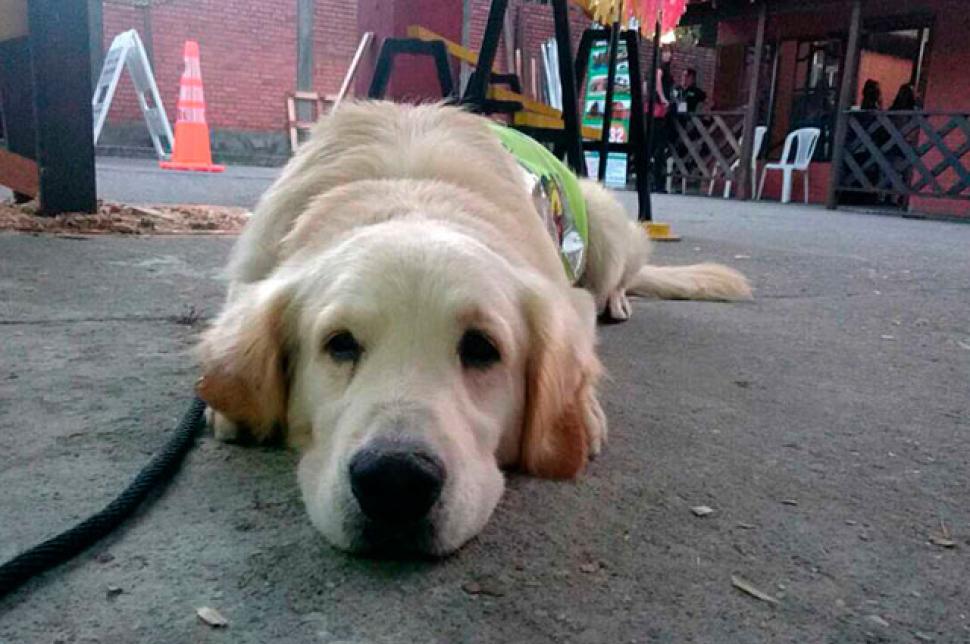 perro-policia-floyd-popayan-colombia-despedida