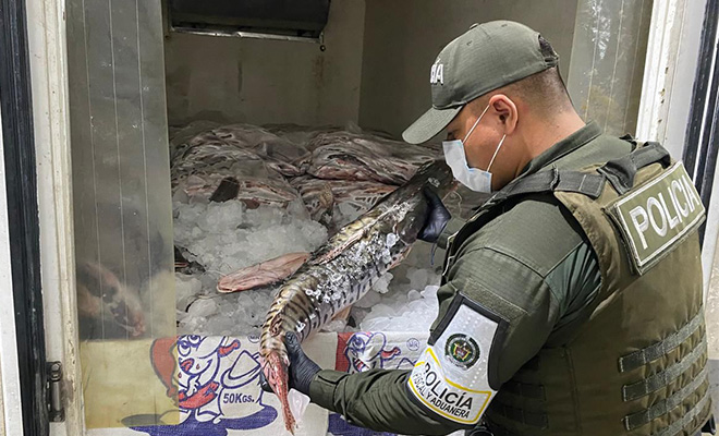 Polic&iacute;a inspeccionando pescado incautado