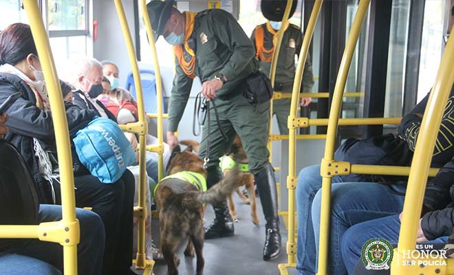 Policías con caninos anti explosivos dentro de un bus
