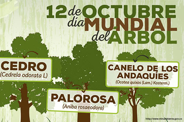 policia-colombia-dia-mundial-del-arbol