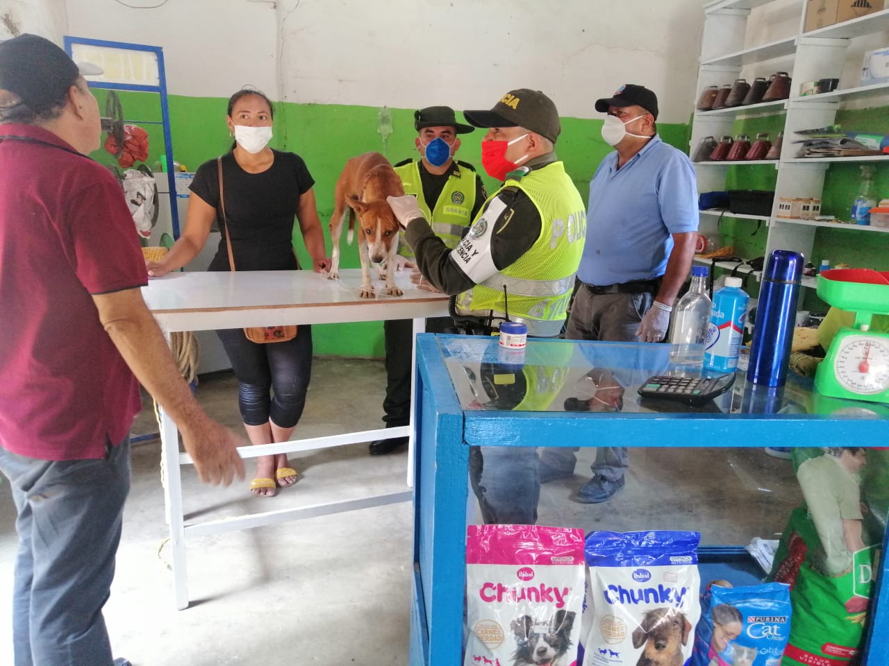 Trabajamos por la protección y cuidado de estos animales.