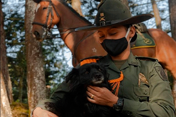 ¿Por qué debemos cuidar, proteger y respetar a los animales?