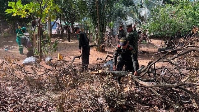 Policía y Ejército recogen ramas durante jornada de recuperación