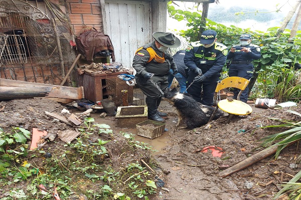Durante tres días se les suministro alimento y agua 