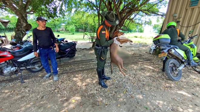 Rescate de Rey