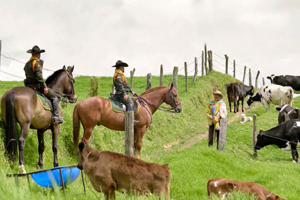 sistema integrado de seguridad rural