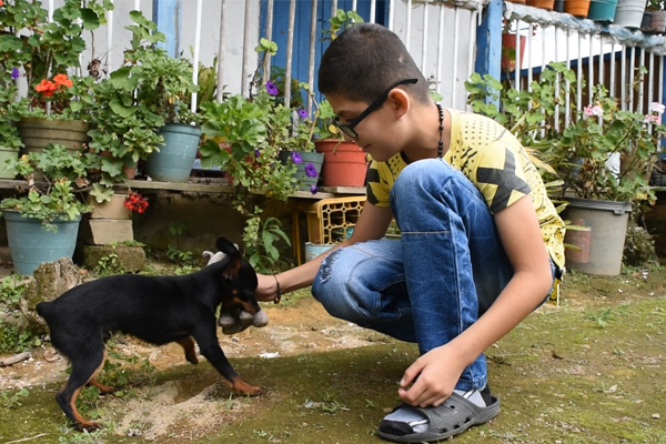 Emotivo reencuentro entre un niño y su amigo de pilatunas, un peludito de cuatro patas