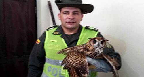 aves_amazonas