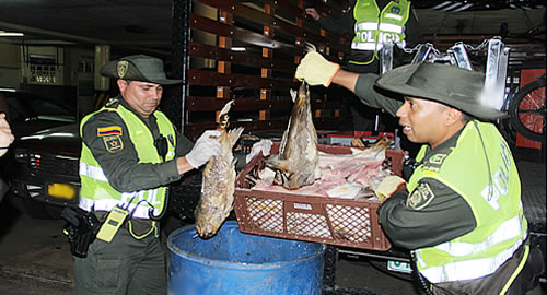 pescado