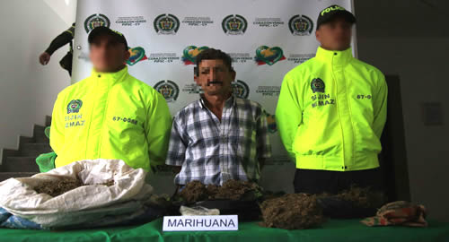marihuana-caldas
