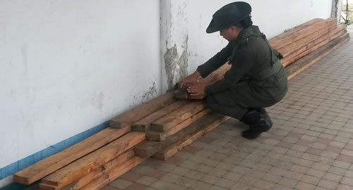 incautacion madera