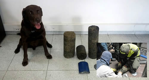 marihuana_antioquia