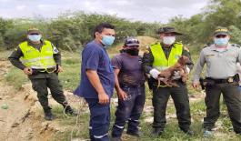 La Policía Nacional y Bomberos de Uribía, rescataron un canino que había caído en una alcantarilla Canino-policías-comunidad