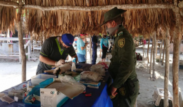 Se les brindó asistencia médica Fueron atendidos por veterinarios