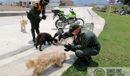 Estamos comprometidos con la protección animal Estamos comprometidos con la protección animal