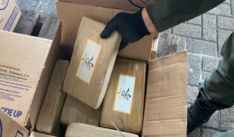 La cocaína venia en cajas de servilletas Incautación de varios paquetes de cocaína