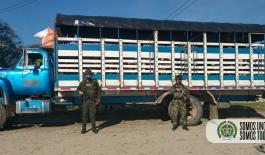 Ofensiva regional contra el abigeato permitió la incautación de 126 bovinos de dudosa procedencia en el Departamento del Meta Ofensiva-regional-contra-el-abigeato-permitió-la-incautación-de-126-bovinos-de-dudosa-procedencia-en-el-Departamento-del-Meta1