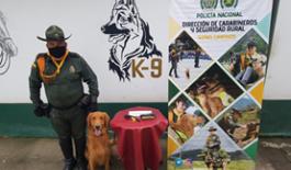 El hallazgo se logró gracias a los naninos Policía Nacional halla estupefaciente en la bodega de una empresa de encomiendas
