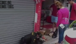 En Ocaña rescatamos a una perrita junto a sus crías En Ocaña rescatamos a una perrita junto a sus crías