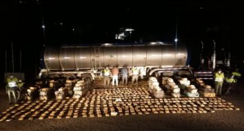 El alucinógeno era transportando en un vehículo tracto camión con caleta doble fondo. Dos hombres capturados y dos toneladas de marihuana tipo creepy fueron incautados en vías nacionales