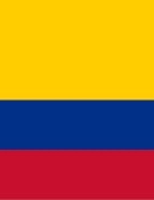 Coronel Henry Alexander Leal Vel&aacute;squez 